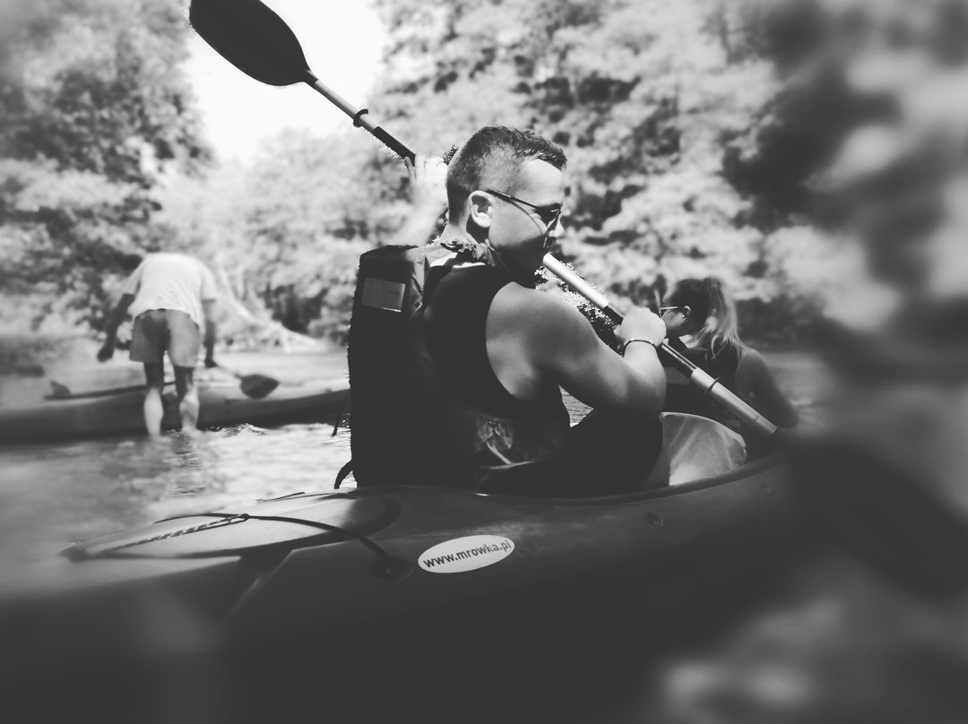Mrowka - River Kayaking & Rental景点图片