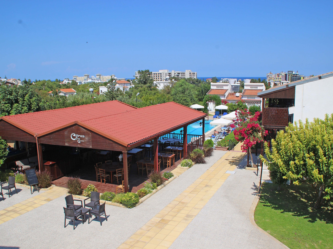 Citrus Tree Gardens主图