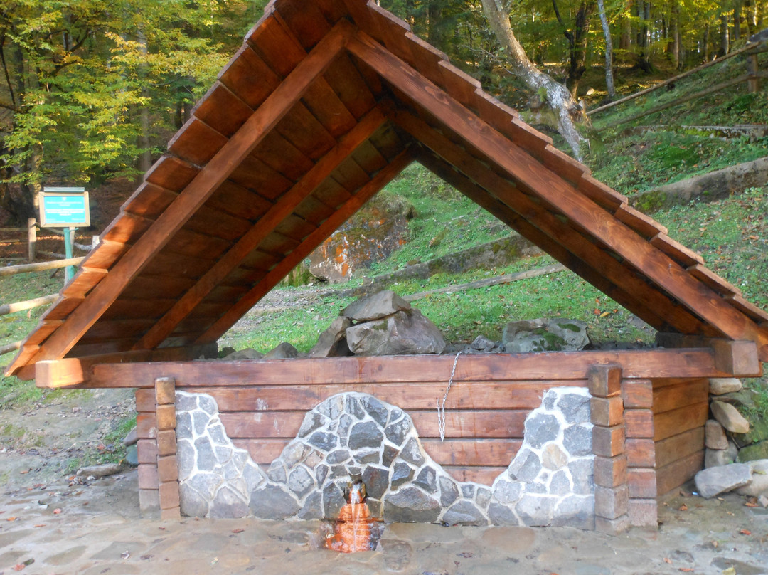 Mineral Spring Kolochava