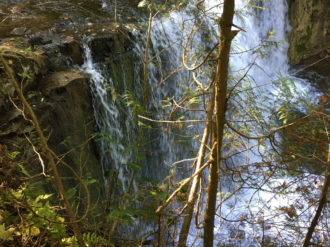 Hoggs Falls景点图片