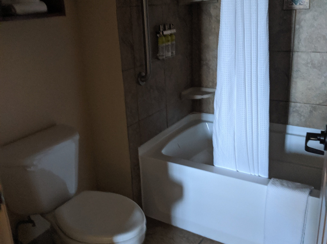 Staybridge Suites Las Cruces by IHG主图