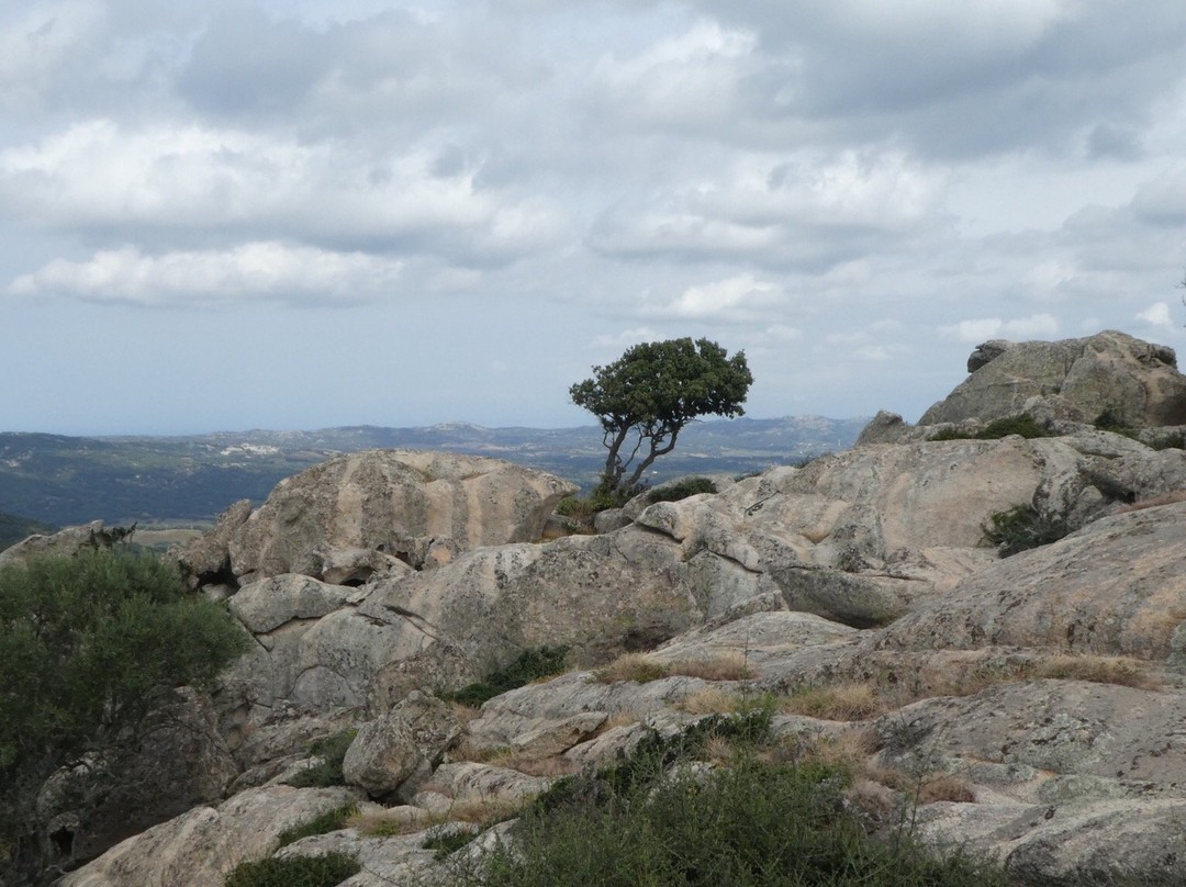 Chiesa di San Trano-Luogosanto必去景点
