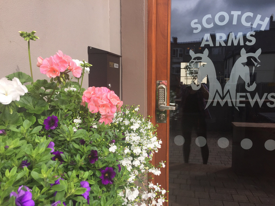 The Scotch Arms Mews主图
