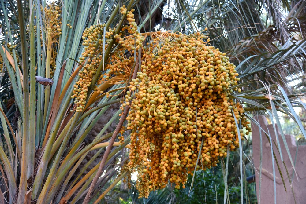 Au Jardin De Tamnougalt主图