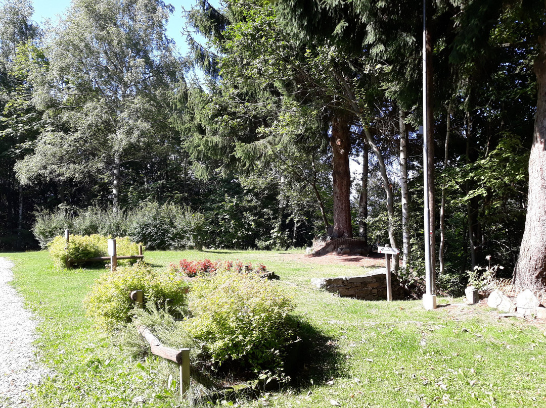 Santuario della Misericordia景点图片