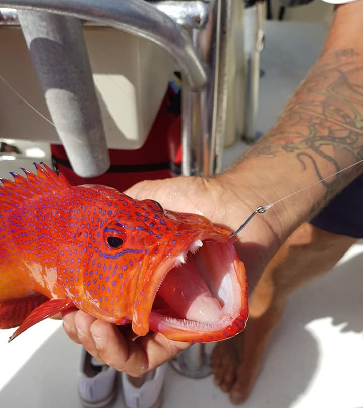 Sampeifish-博阿维斯塔必去景点