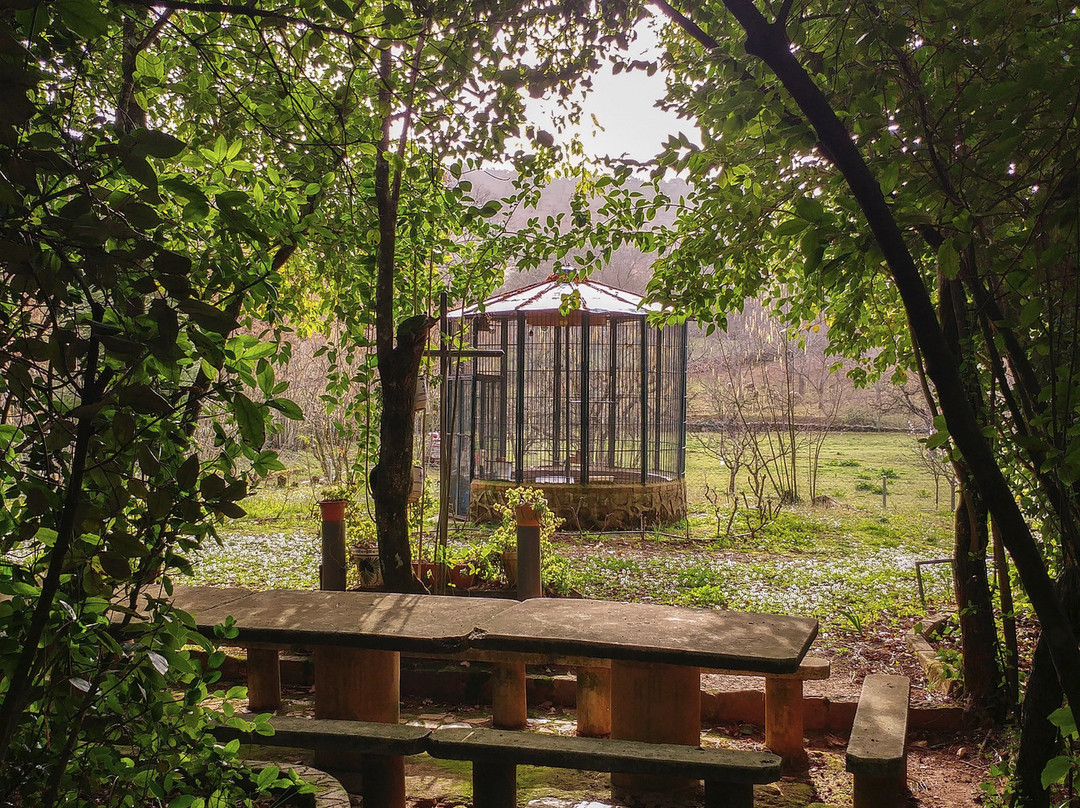 Villa Onuba景点图片