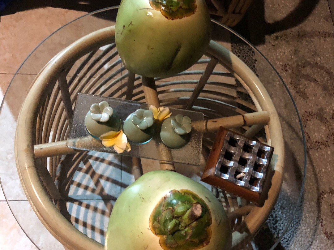 Tea Spa Bali-长谷必去景点