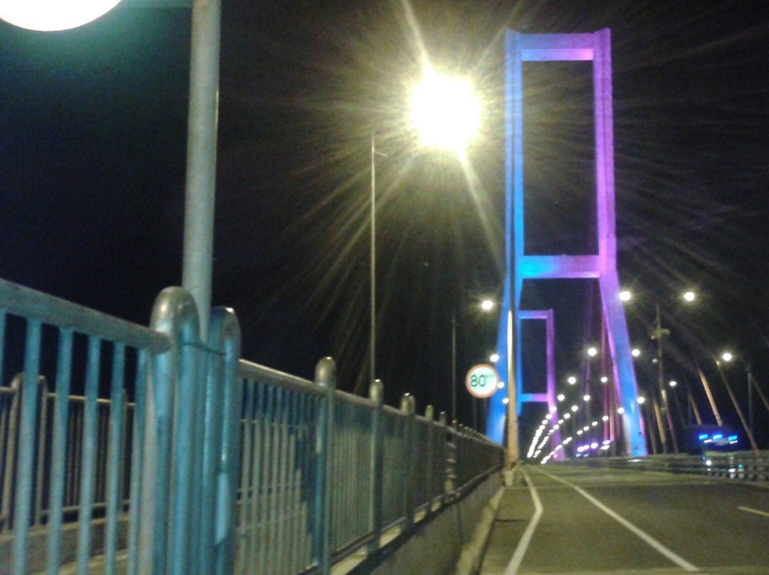Suramadu National Bridge景点图片