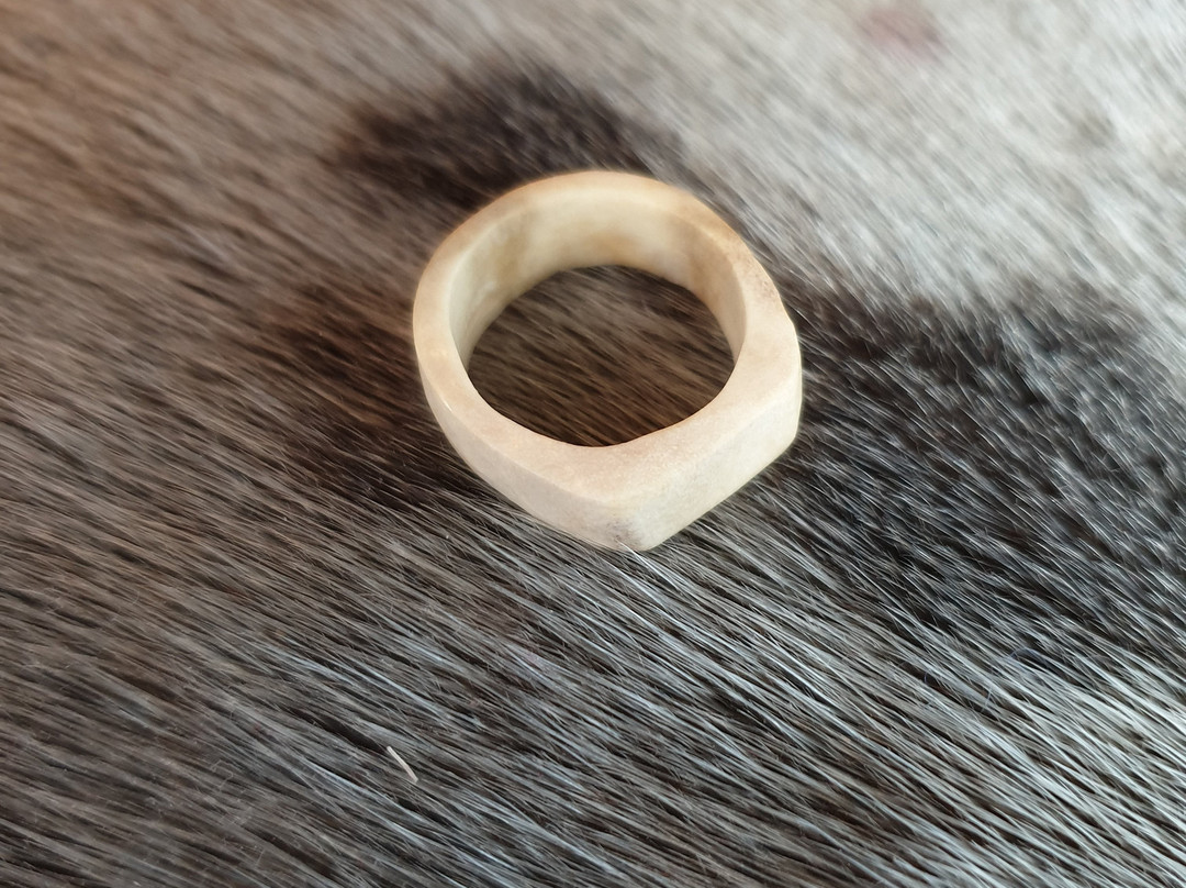 Arctic Workshop, Galleri Svalbard-朗伊尔城必去景点