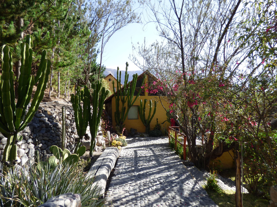 El Refugio d'Elise Hotel主图