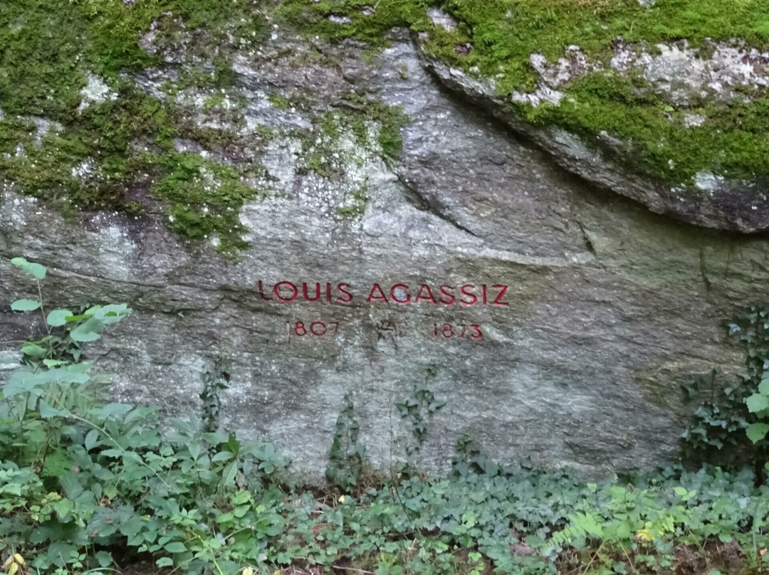 Pierre «Louis Agassiz» - le Palet Roulant景点图片