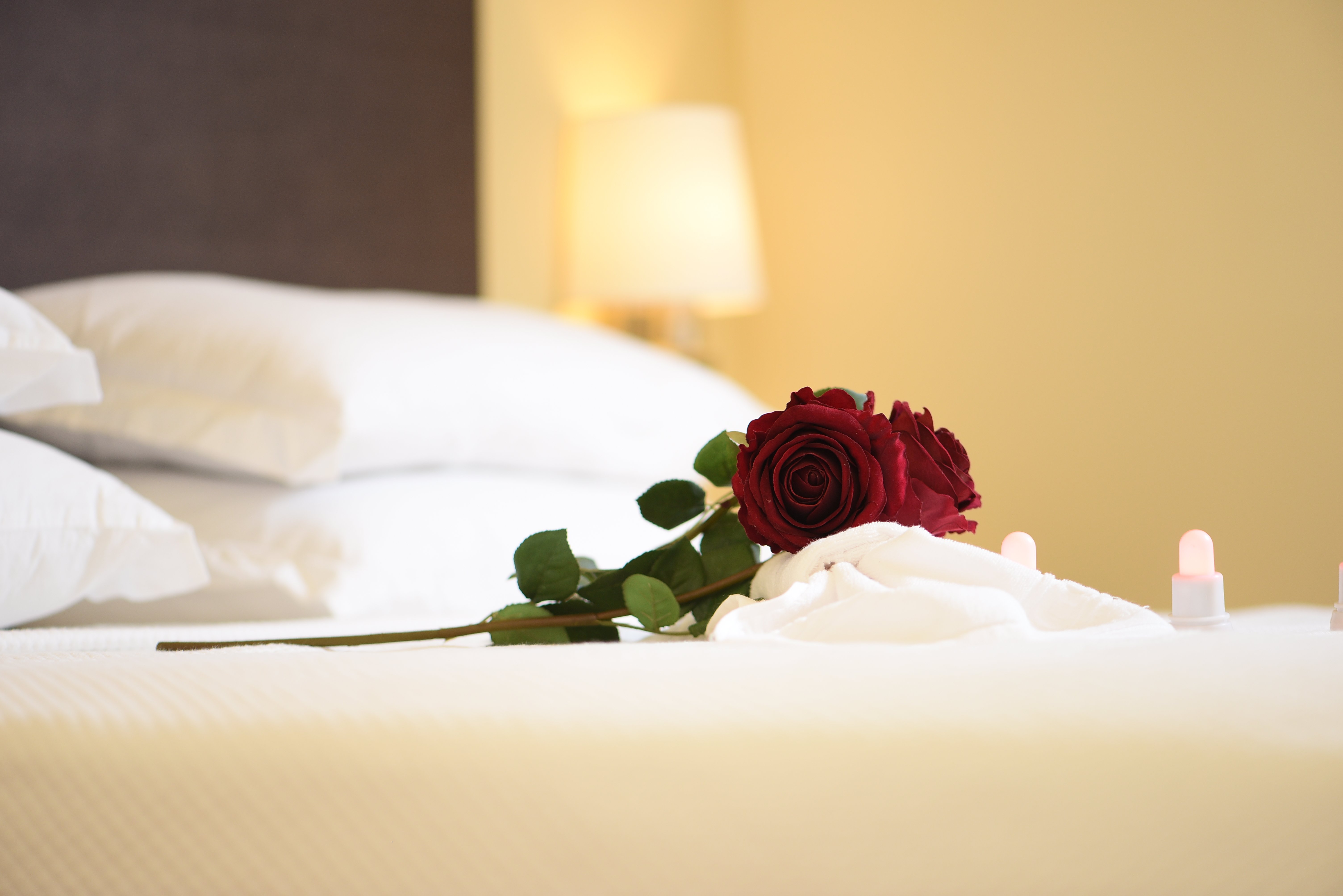 Hotel Les Orangers-官方