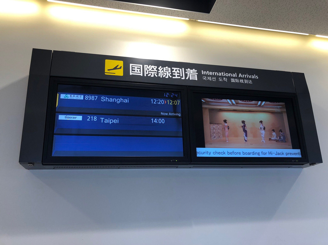 Ibaraki Airport Observation Deck景点图片