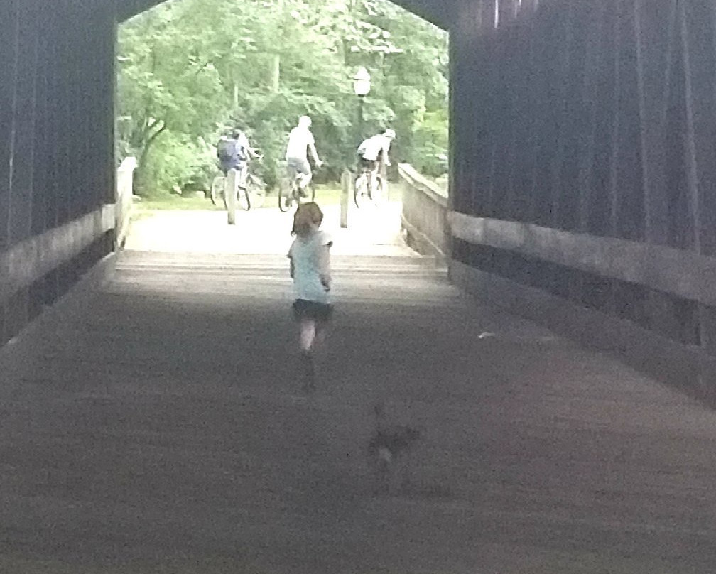 Ada Township Covered Bridge-Ada必去景点