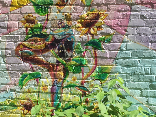 Black Cat Alley-密尔沃基必去景点