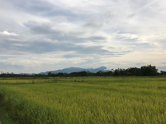 Pacific Boat-会安必去景点