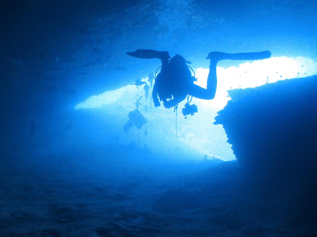 UnderPressure Explorers | Quality Diving-仙本那必去景点