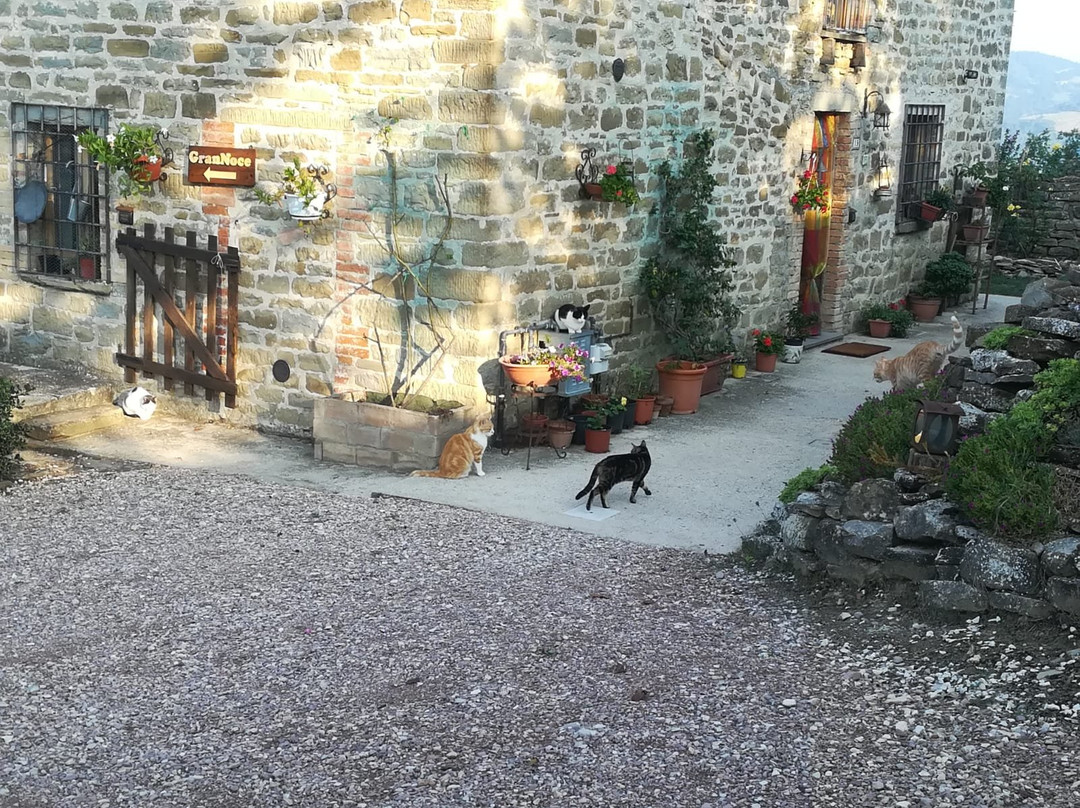 GranNoce Bed and Breakfast主图