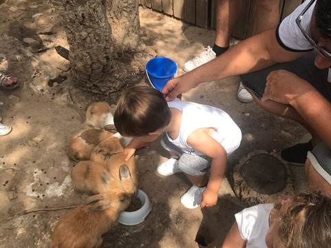 La Ferme De Padula-维琪奥港必去景点