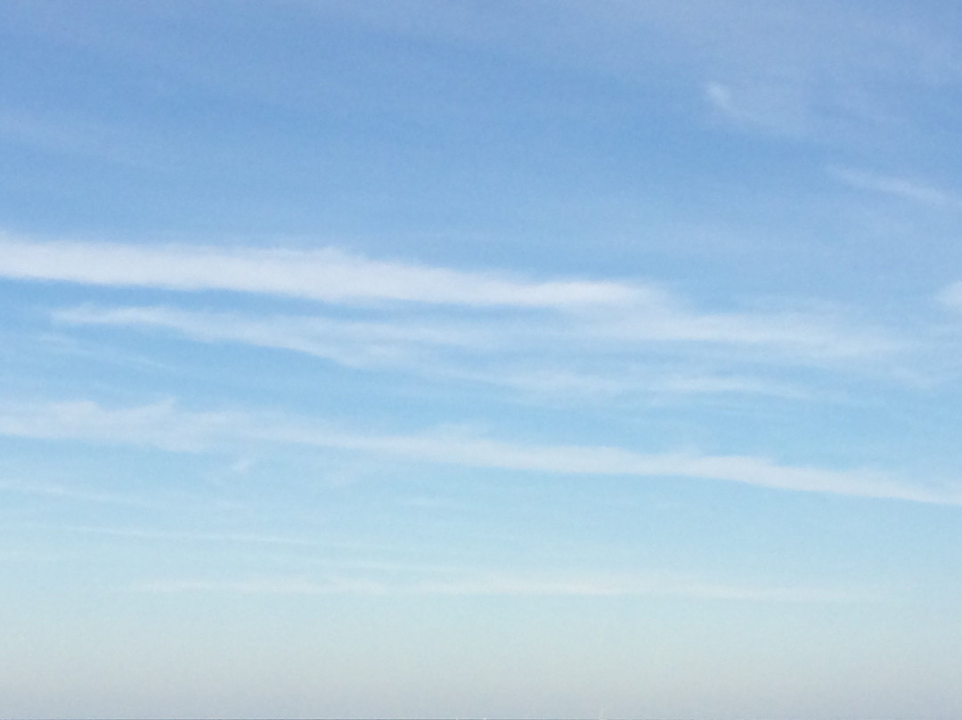 Hotel Sayonara主图