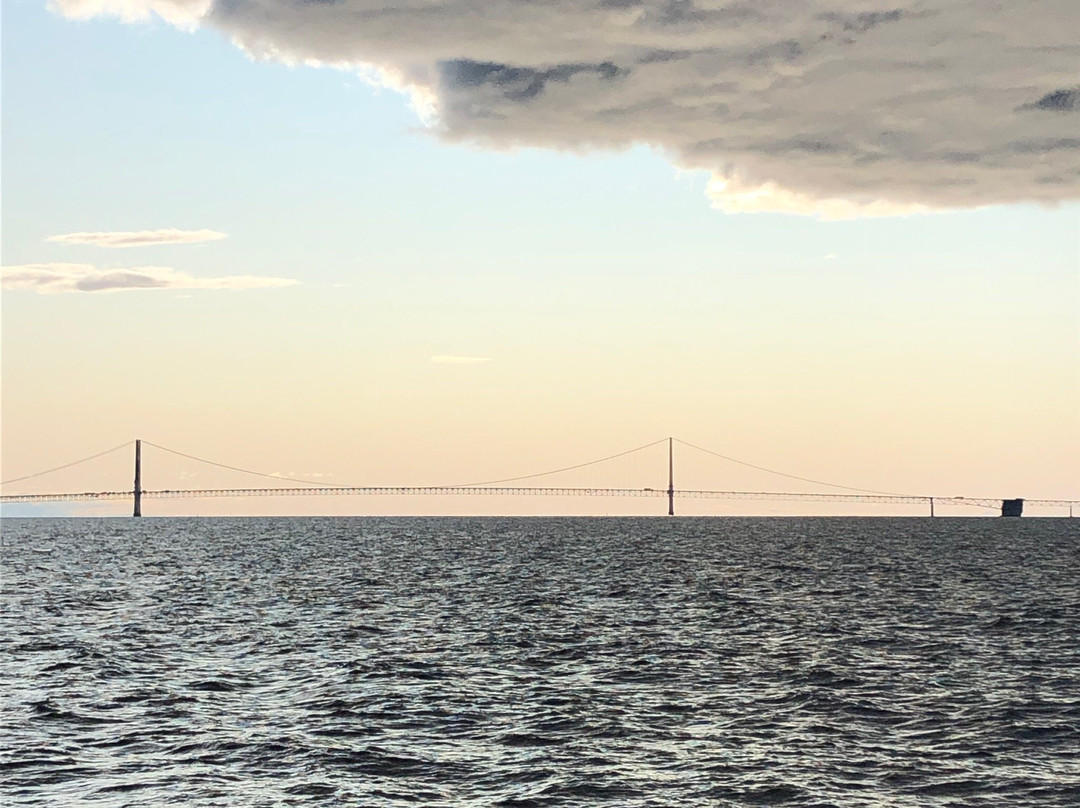 Shepler's Mackinac Island Ferry景点图片