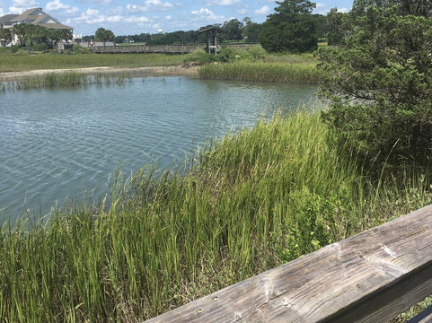 Heritage Shores Nature Preserve-美特尔海滩必去景点