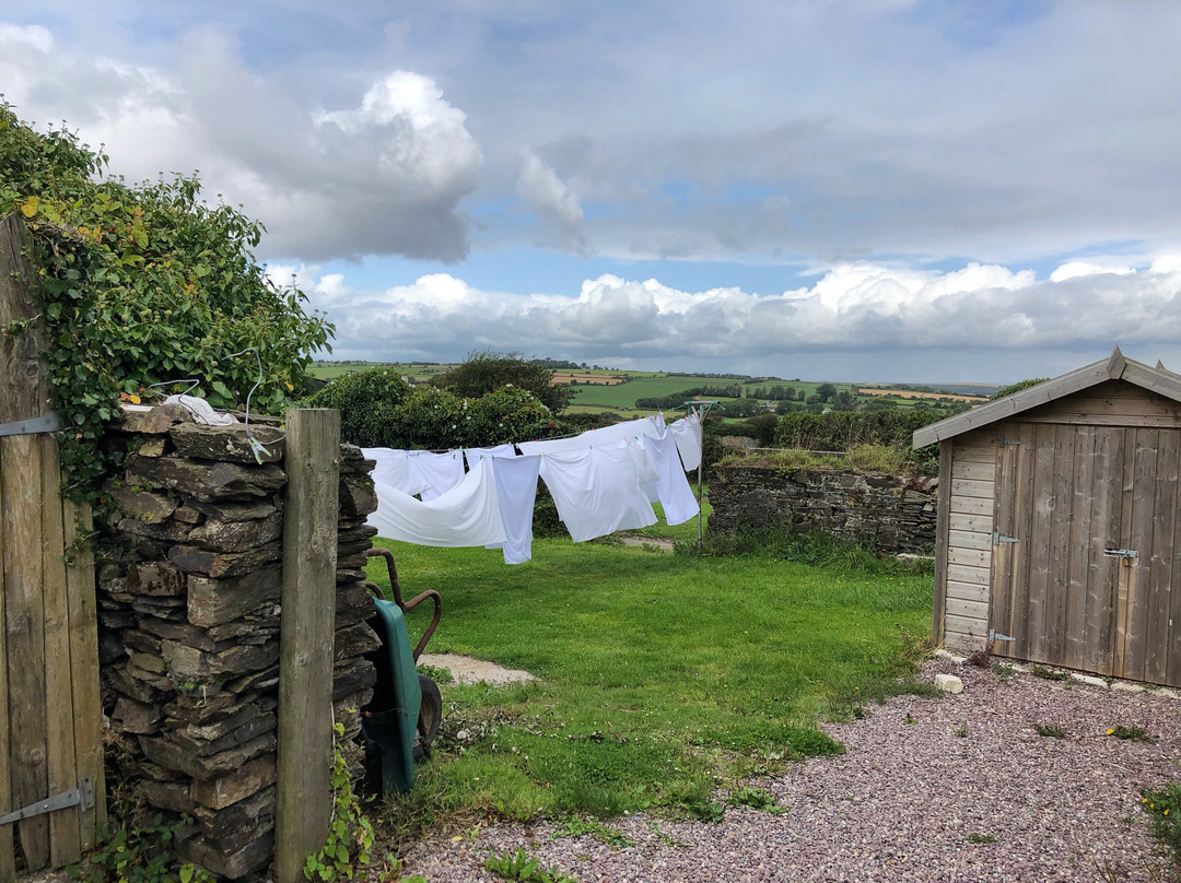 Sunville House主图