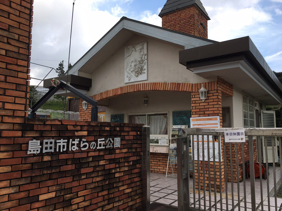 Shimada City Baranooka Park景点图片