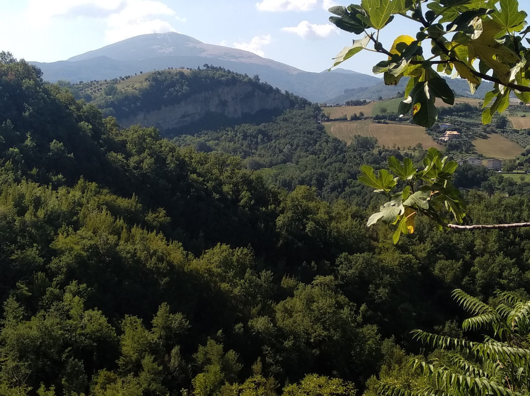 B&B Terra di Mezzo主图