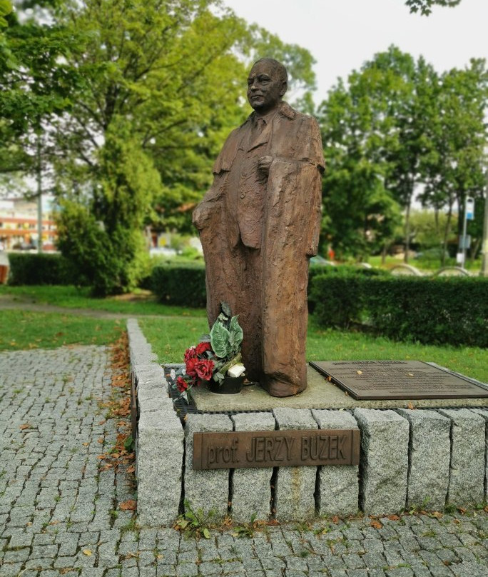 Pomnik prof. inz Jerzego Buzka景点图片