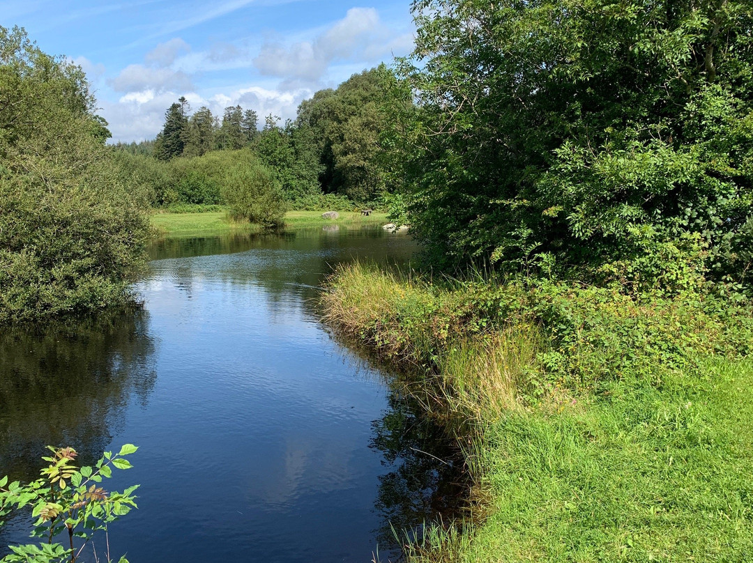Annamoe Trout Fishery-Annamoe必去景点