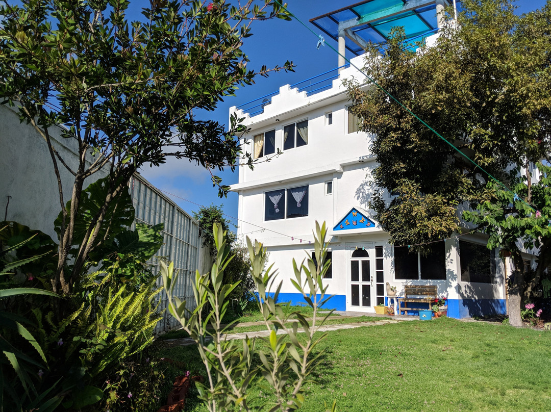 Cerro Pelon Butterfly B&B