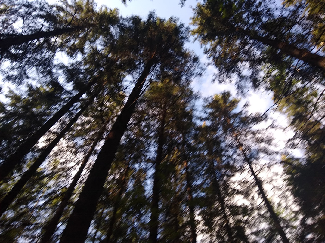 Kurjenrahka National Park-Poytya必去景点