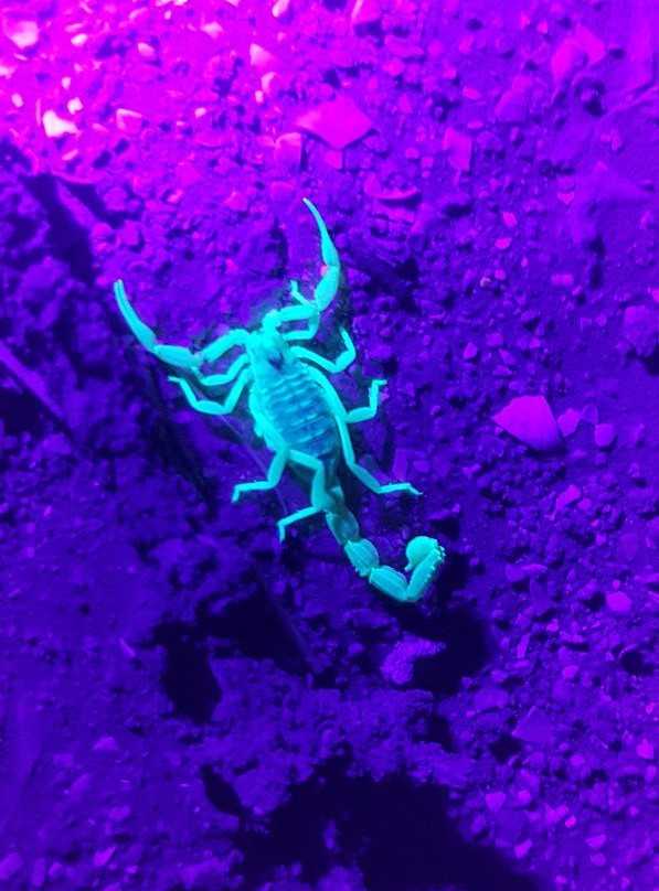 Negev Jeep-Sde Boker必去景点