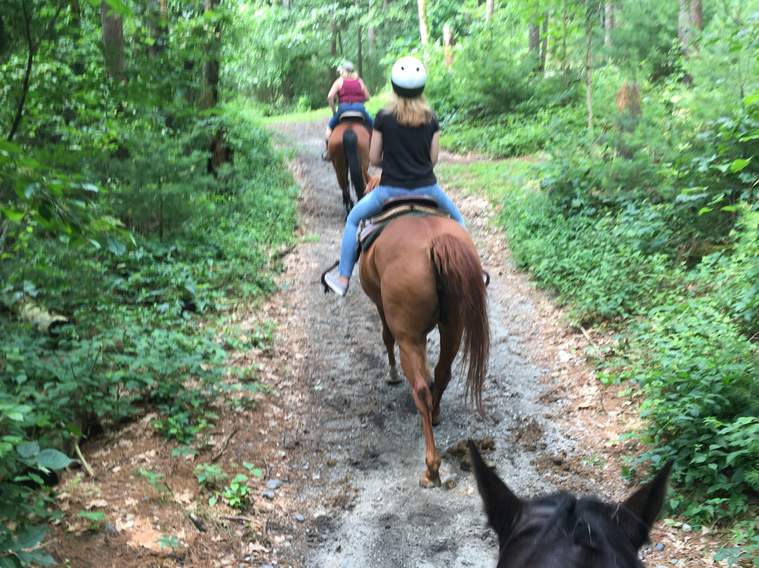 C and L Stables-West Warwick必去景点