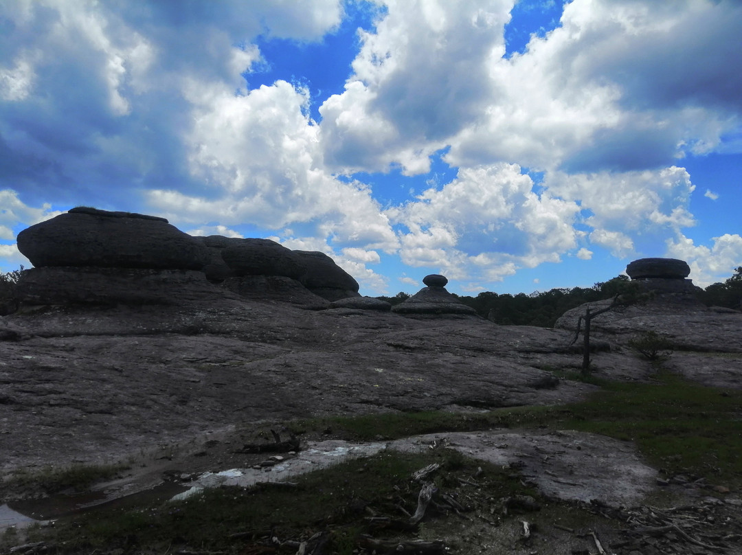 Mexiquillo-Pueblo Nuevo必去景点