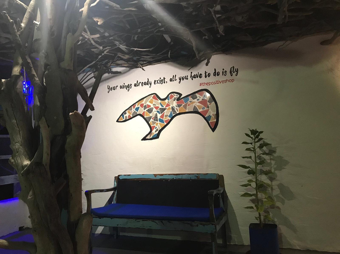 The Positive Shop-Zia必去景点