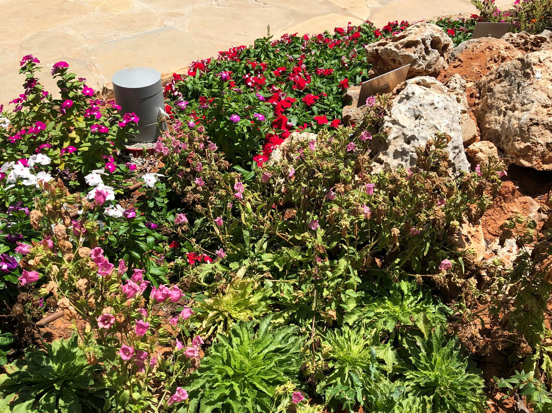 Botanical Garden-特拉维夫必去景点