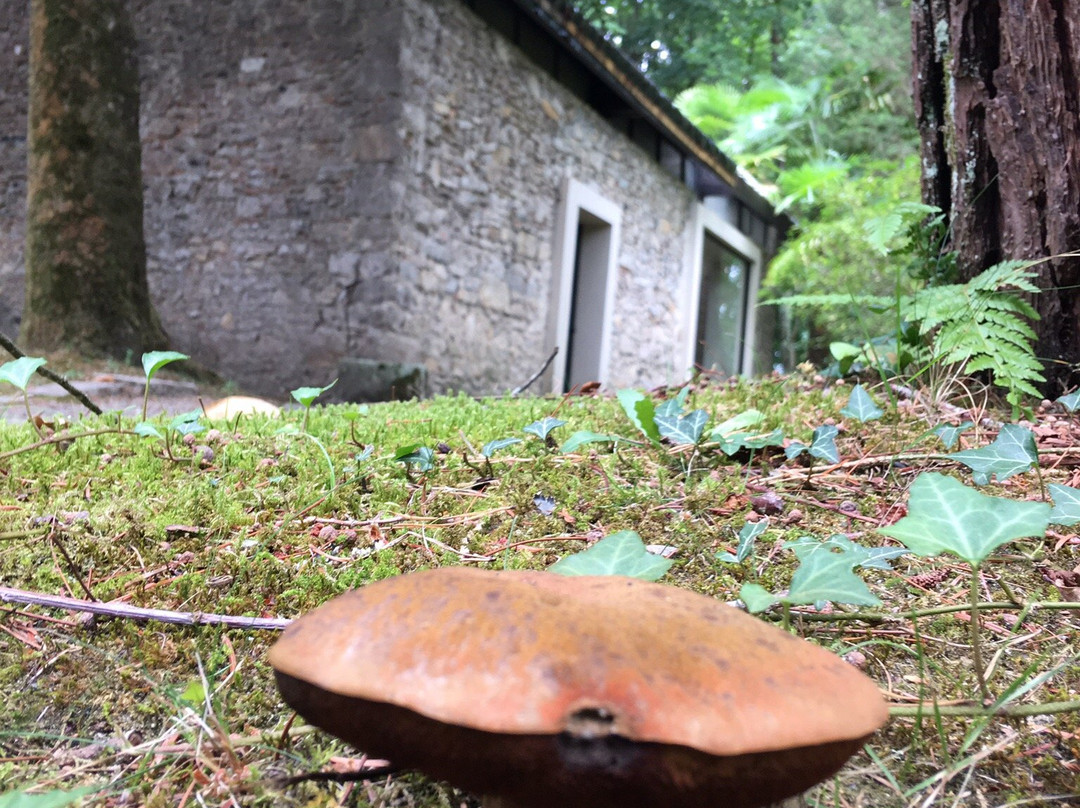 Parc du Sarrat-达克斯必去景点