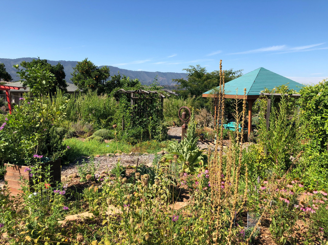 The Krishnamurti Retreat主图