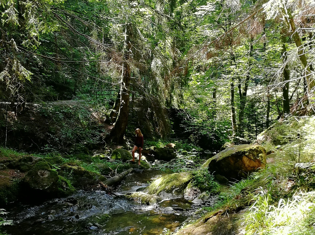 Premiumwanderweg-菲尔德山必去景点