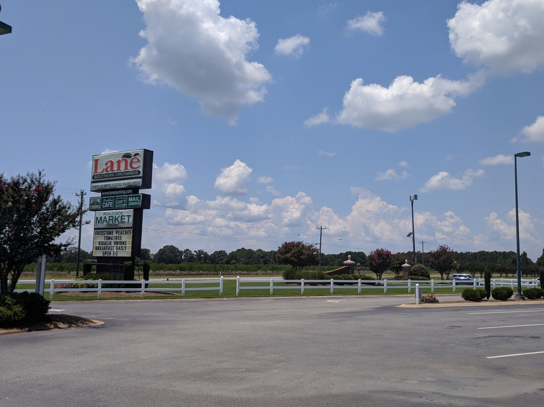 Lane Southern Orchards-Fort Valley必去景点