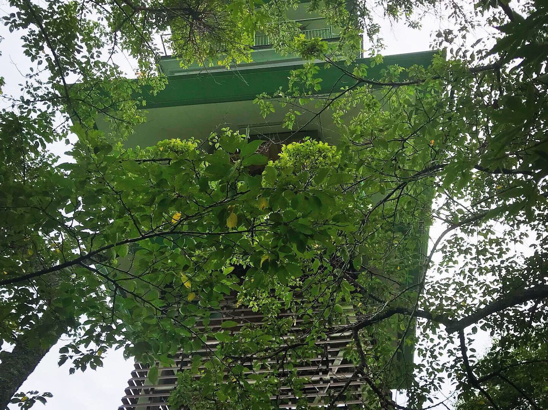 Ogameyama Forest Park-富谷町必去景点