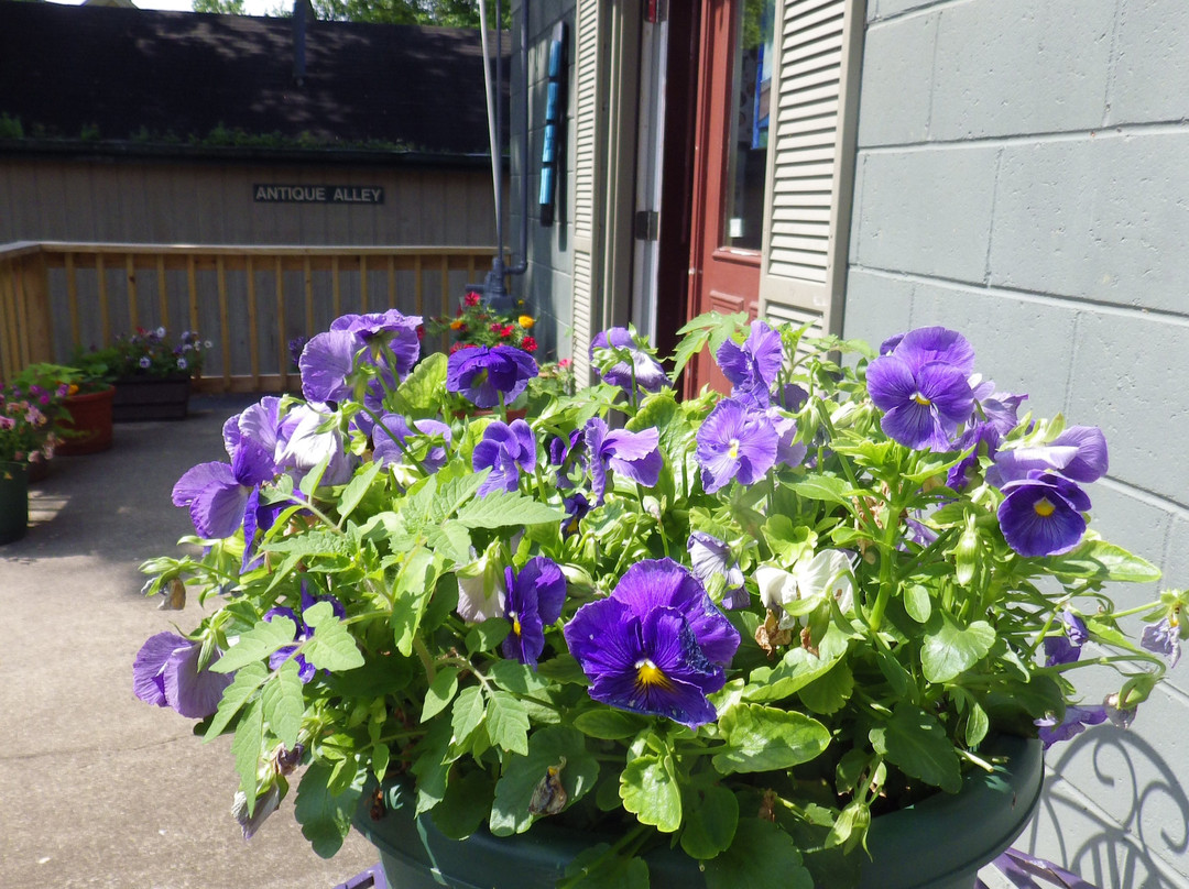 Hoosier Artist Gallery-纳什维尔必去景点