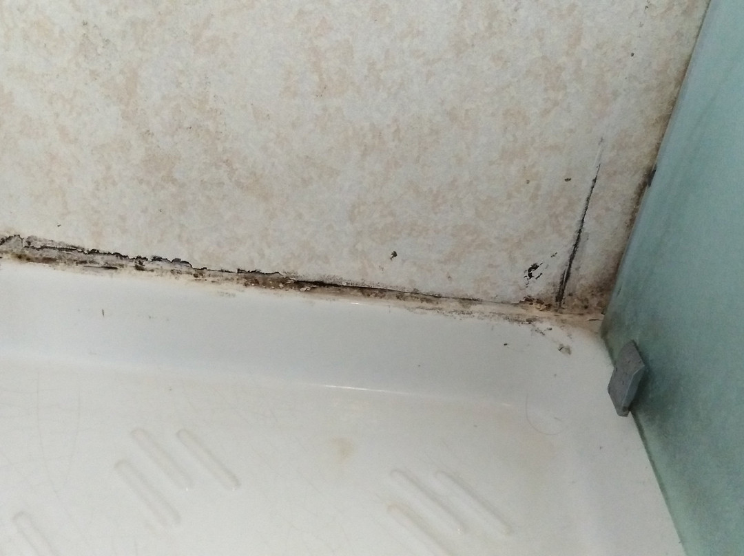 Centro Vacanze de Angelis主图