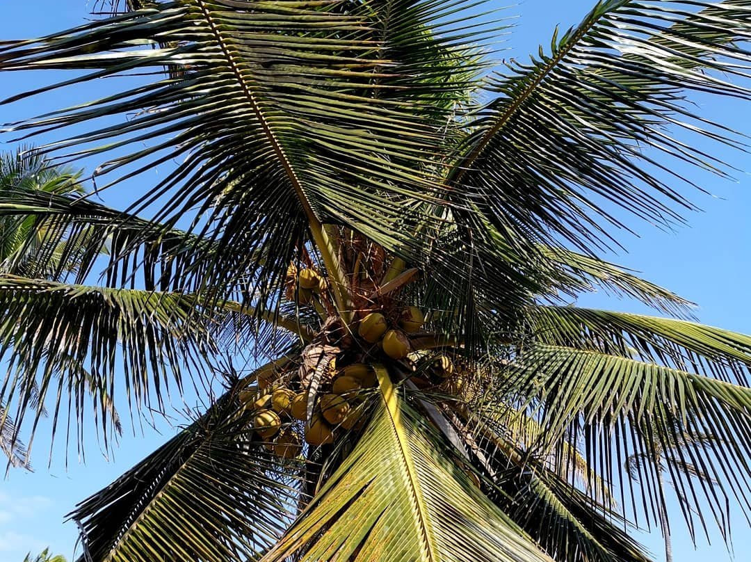 Blue Moon Beach Holiday Resort主图