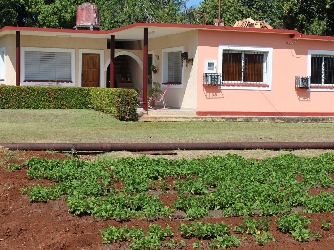 Hostal La Bugambilia主图