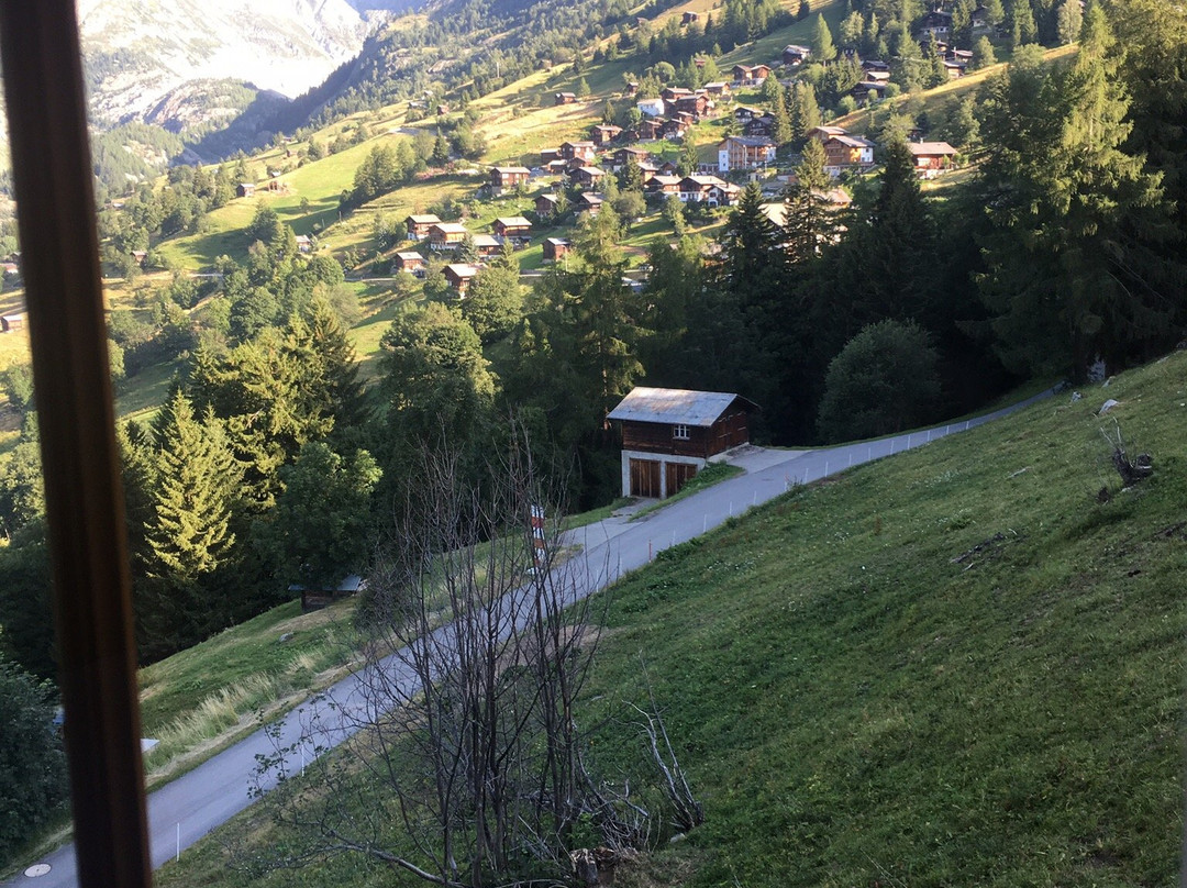 Hotel Bellwald主图