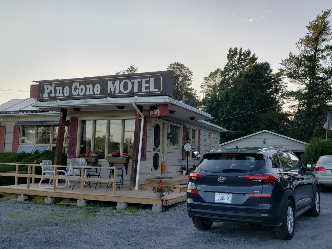 Pinecone Motel主图